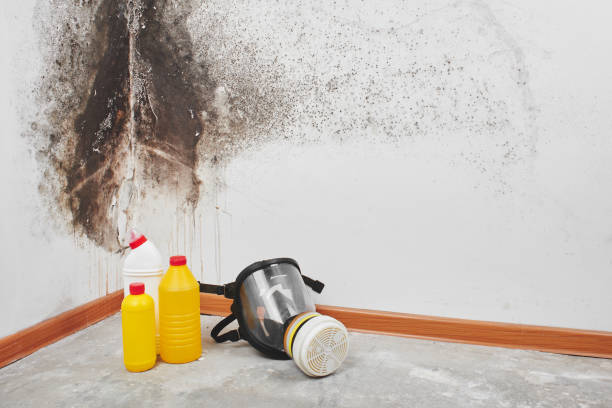 Best Crawl Space Mold Removal  in Beechwood Trails, OH