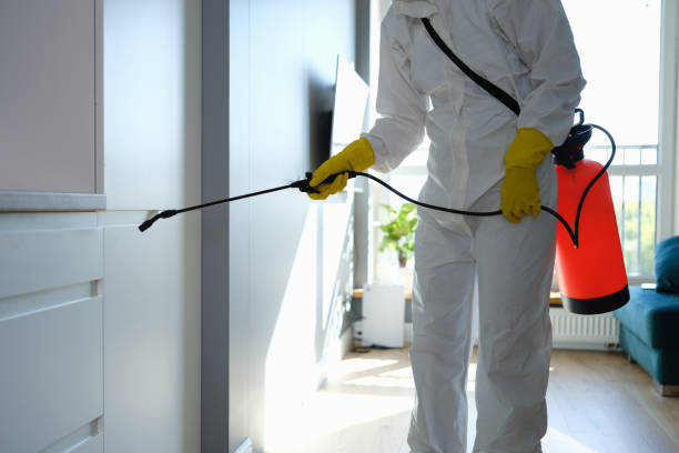 Best Toxic Mold Removal  in Beechwood Trails, OH