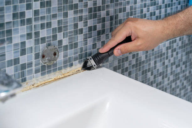 Best Emergency Mold Removal  in Beechwood Trails, OH